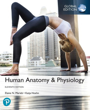 Human Anatomy & Physiology, 11th Global Edition,  e-book